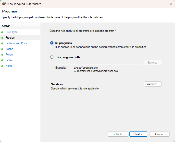 Firewall rule applies to all programs