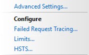 HSTS action pane element in IIS