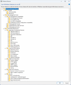 Turn Windows Features on or off, Internet Information Services selected