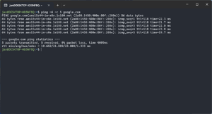 Ping IPv6 address in WSL 2 Bash